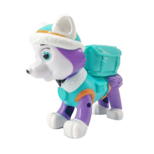 Lade das Bild in den Galerie-Viewer, Paw Patrol Everest Figur mit Skateboard kaufen