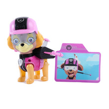 Lade das Bild in den Galerie-Viewer, Paw Patrol Figur Skye Mehrfarbig kaufen