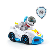 Lade das Bild in den Galerie-Viewer, Paw Patrol - Basis Fahrzeug Recylinglaster mit Rocky kaufen