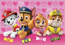 Lade das Bild in den Galerie-Viewer, Pinke Paw Patrol Happy Birthday Poster Banner mit Skye und Everest Motiven
