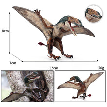 Lade das Bild in den Galerie-Viewer, Dinosaurier Pterosauria Flugsaurier Modellfigur kaufen
