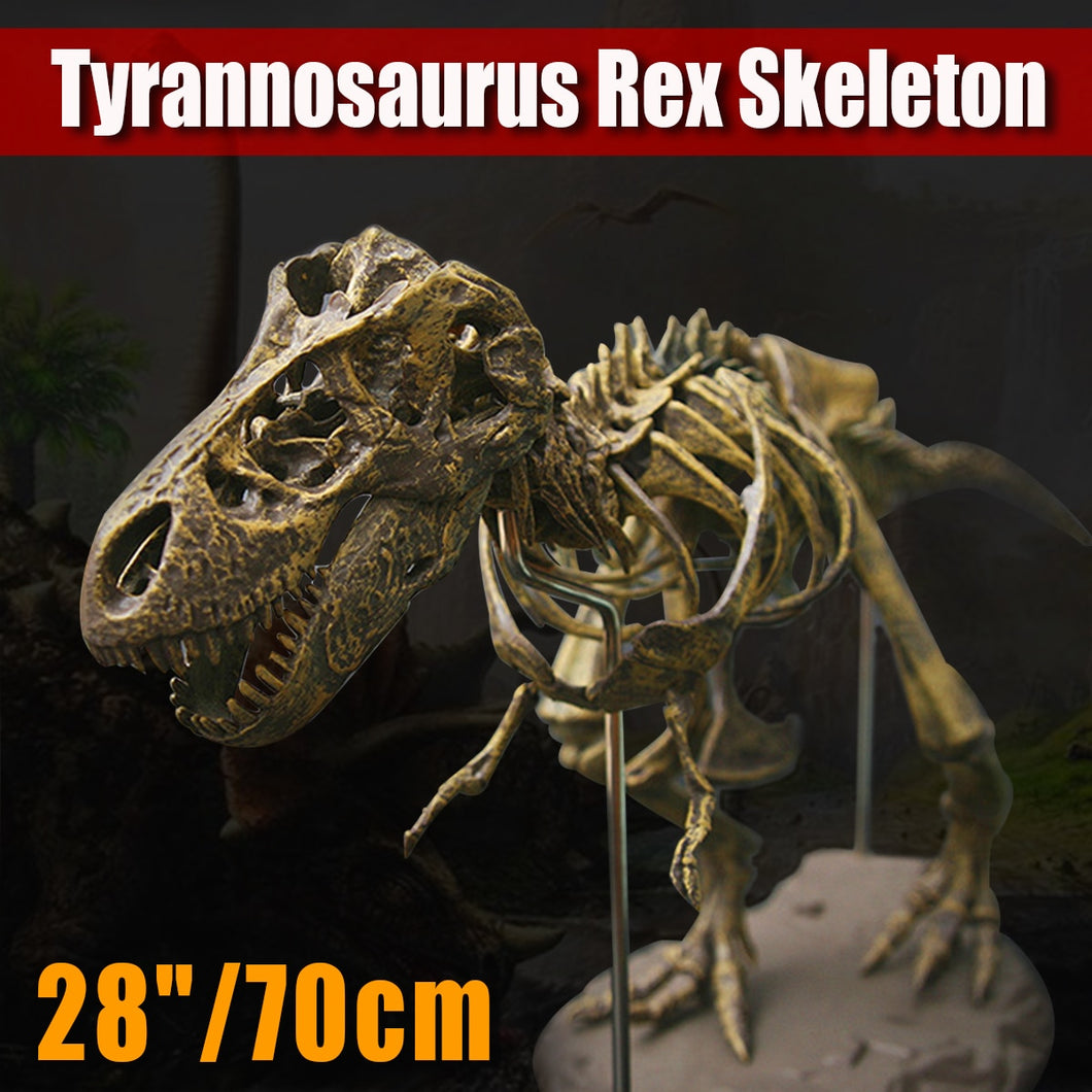 70cm Dinosaurier T-Rex Skelett zum Selbstbauen kaufen