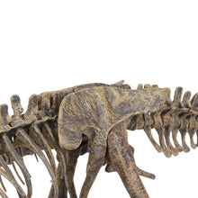 Lade das Bild in den Galerie-Viewer, 70cm Dinosaurier T-Rex Skelett zum Selbstbauen kaufen
